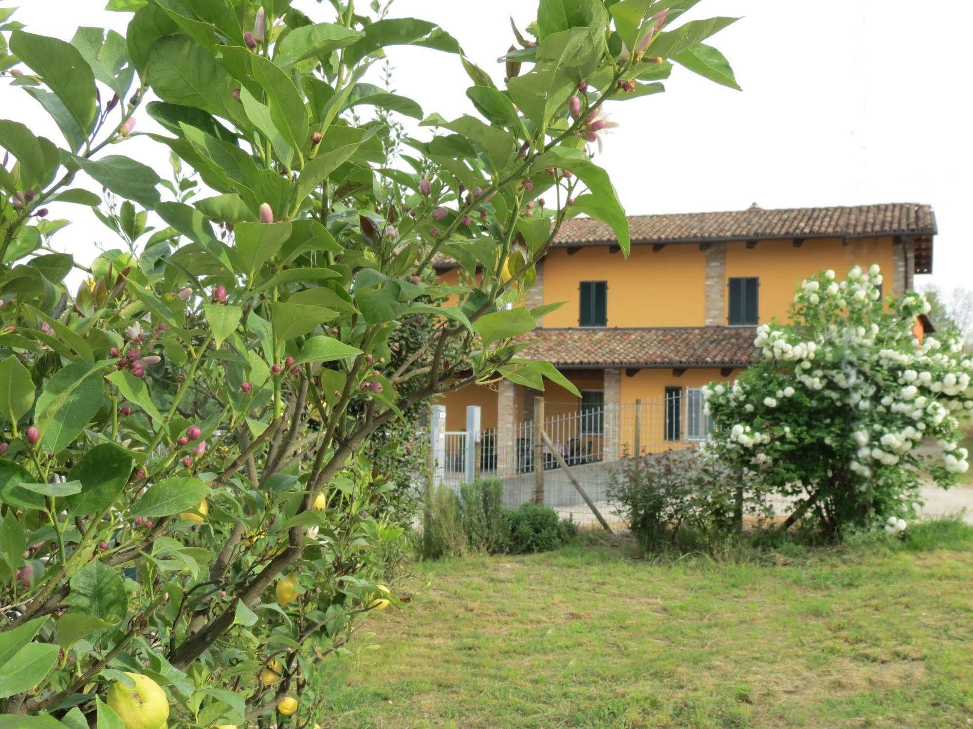 Villa Residenza Albatros à Castiglione Falletto Extérieur photo